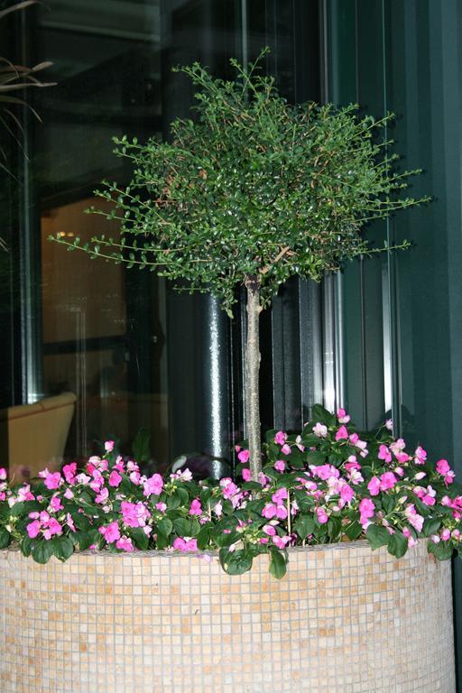 La Perla B&B Hotel Roseto degli Abruzzi Kültér fotó